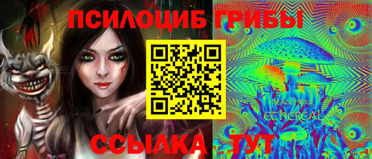 Галлюциногенные грибы Psilocybine cubensis  Галлюциногенные грибы ЛСД  купить   Шали  Вход с VPN 