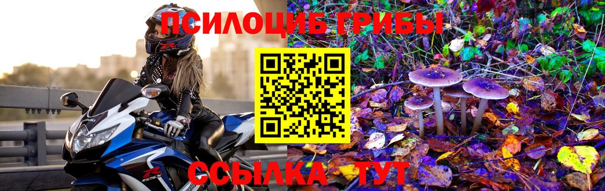 Псилоцибиновые грибы Psilocybine cubensis Шали